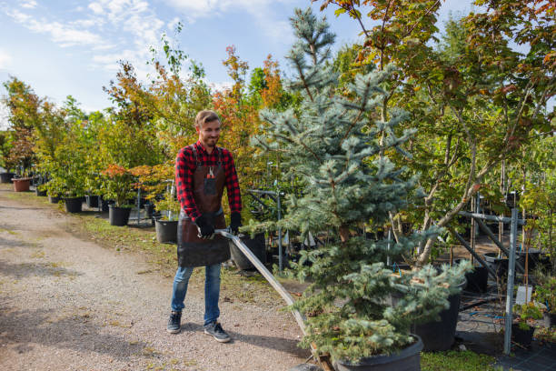 Seasonal Cleanup in Glenmoor, OH